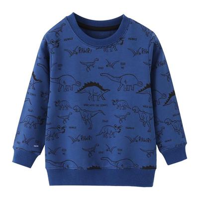 Children's European Style Long-Sleeved Terry Sweatshirt - Boys' Autumn/Winter Top