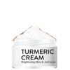 Herb Turmeric Face Cream Repair Acnes Scar Dark Spot  Moisturizer Whitening Lightening Against Acne Skin Care