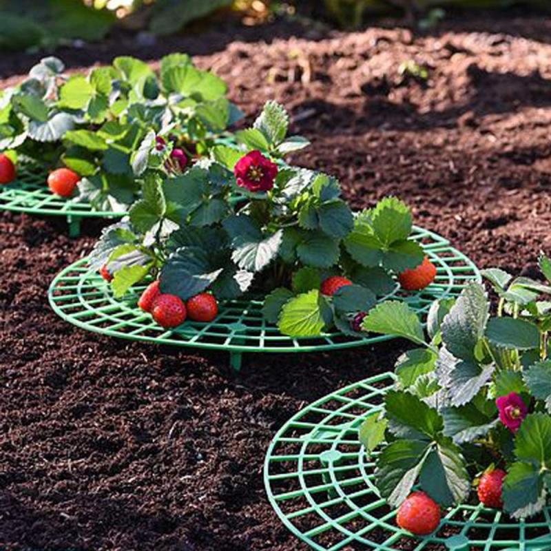 5/10/15/20 Sets Of Strawberry Planting Rack Cultivation Rack Garden Pot Planting Vegetable Rack Fruit Support Gardening Bracket