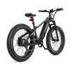 FREEDARE Saiga Electric Mountain Bike 250W BaFang Motor,48V20Ah Battery,with GPS Smart App Control