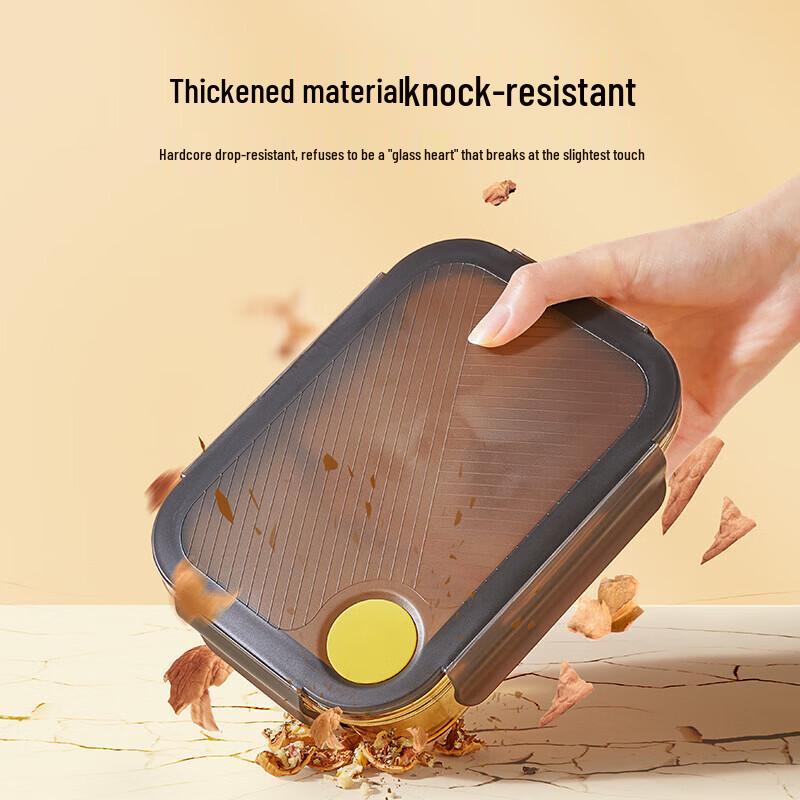 High Borosilicate Glass Lunch Box