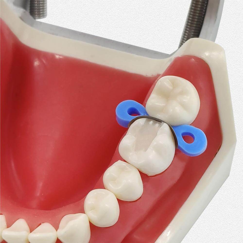 20 szt./60 szt./120 szt. Matryce stomatologiczne profilowane sekcyjne Matryce Matrix Bands Tofflemire Stuck materiał do laboratorium dentystycznego S/M/L