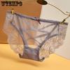 Transparent Lace Mesh Sexy Low Waist Women's Underwear Cotton Crotch Seamless Hollow Triangle Pants for Women