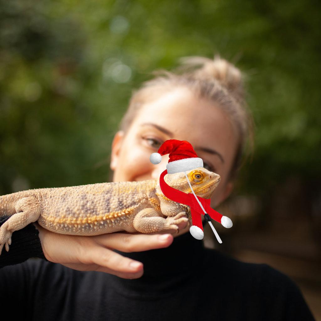 Pet Christmas Dressup Set,1set Chicken Guinea Pig Lizard Pet Christmas Dressup Set