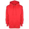 FDM Unisex Plain Original Hooded Sweatshirt / Hoodie (300 GSM)