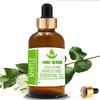 Pure Herbs Myrtle (Myrtus Communis) Pure & Natural Therapeutic Grade Essential Oil Glass