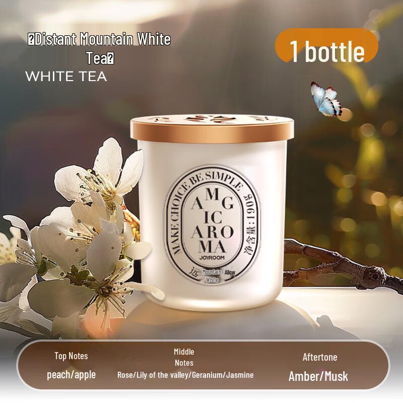 Joyroom Solid Aroma Air Freshener