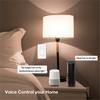 Alexa US Standard WiFi IP66 Rated PC 10A Touch Control Wall Light Button Switch Full House Coverage for Smart Home Device