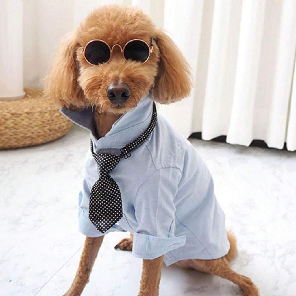 1 Stück Hunde Sonnenbrille Katze Haustier Produkt Lieblich Vintage Rund Reflexion Augenbekleidung Brille Kleiner Hund Katze Haustier Foto Requisiten Zubehör