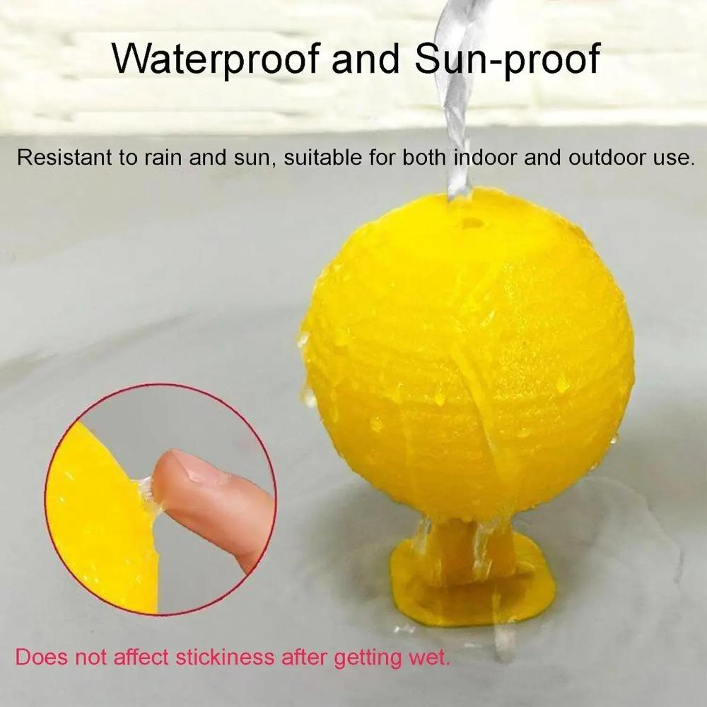 Indoor Flying Insect Catcher,Sticky Trap Balls for Fruit Flies,Gnats,Mosquitoes,Safe Non-Toxic,Place Near Plants,Trash Can,Window,Home,Office Use