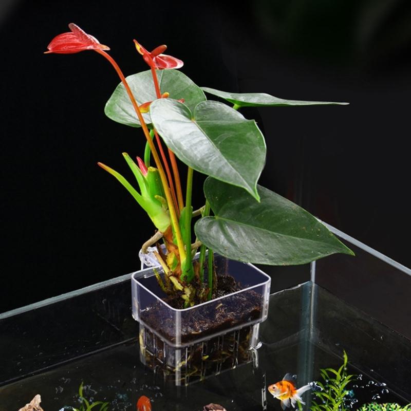Aquarium Plant Holder Hangings Aquatic Plant Pots with Hole for Aquarium Plant Cups for Live Aquaponic Plant Landscape