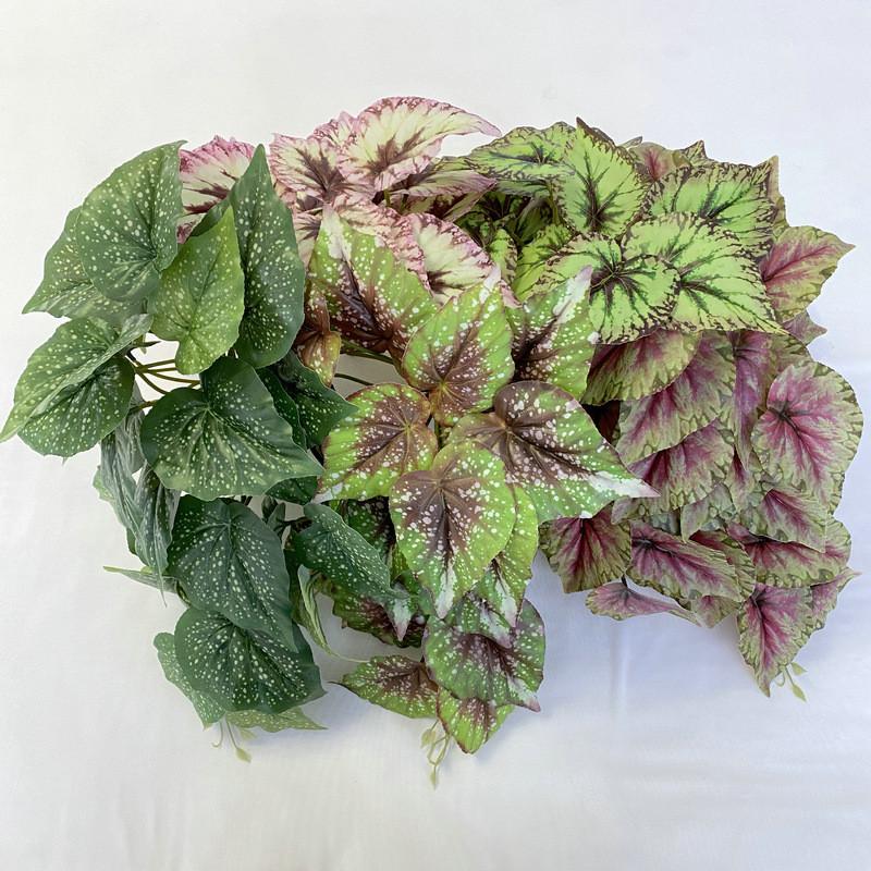 Printed Begonia 3d Wall Mounted Plant For Wedding Props And Styling Home
