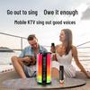 Newmine K19 Portable Bluetooth Karaoke Speaker with Dual Microphones