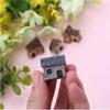 Dollhouse Miniature Gardening Micro Landscape Decoration Village House Set of 4