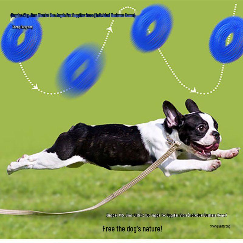 Squeaky Molar Ball: Durable, Bite-Resistant Toy for Medium & Large Dogs