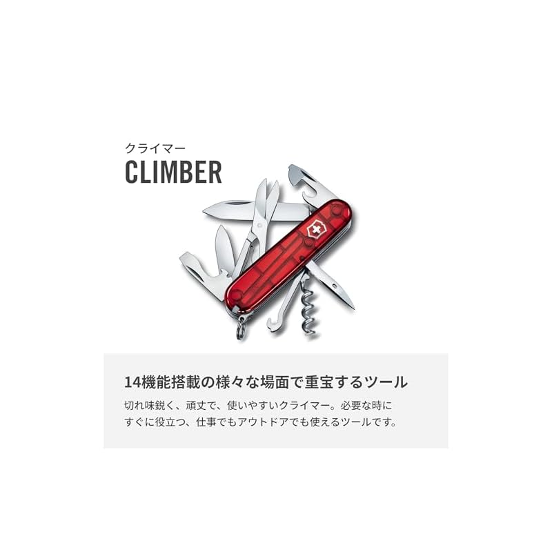 VICTORINOX Cyber Traveler T (1.3703.T)