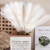 GeeParty 10Pcs Fluffy Pampas Grass Fake Reed Simulated Artificial Flower Boquet for Birthday Party Decoration