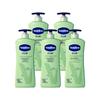 Intensive Care Aloe Fresh Body Lotion 5-Pack