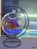 Kreatives Mikro-Landschafts-Kampffisch-Aquarium - Modisches Glas-Fischglas-Dekorationsobjekt für die Heimdekoration, Kleine Geschenke