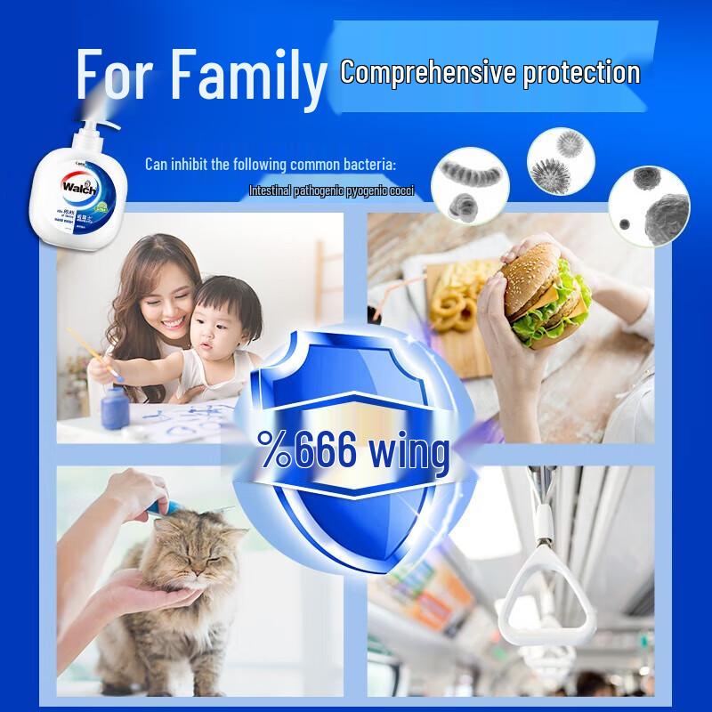 Walch Healthy Antibacterial Hand Wash Set