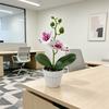 Butterfly Orchid Artificial Flower Pot With Realistic 3d Printing For Home Decor And Photography