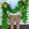 Rattan Pothos Fake Leaf Garland: Hanging Green Vine Decoration for Ceilings, Water Pipes, and Air Conditioners.