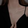 Tassel Necklace for Women: Korean Simple Light Luxury Temperament, Stainless Steel Clavicle Chain, Summer Niche Design