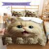 Persian Cat Pattern Bedding Quilt Set Quilt Cover Pillowcase Home Decoration Gift (1 * duvet cover + 2 * pillowcase, without core)