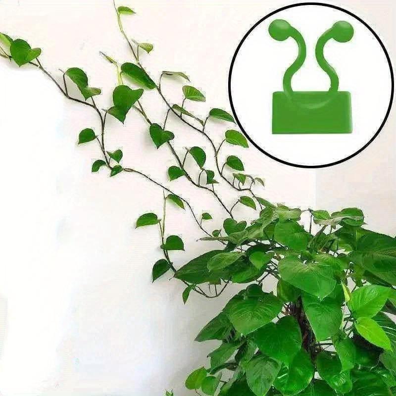

50 шт./компл. Пластиковый невидимый настенный держатель для лозы, настенный липкий крючок, самоклеящийся зажим для фиксации лозы, держатель для лозы для сада и дома S зелёный