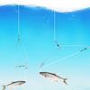 NEW 5/10PCS Automatic Fishing Hook Trigger Spring Fishhook Bait Catch Spring Fishhook Automatic Fishing Trigger Fishing Supplies