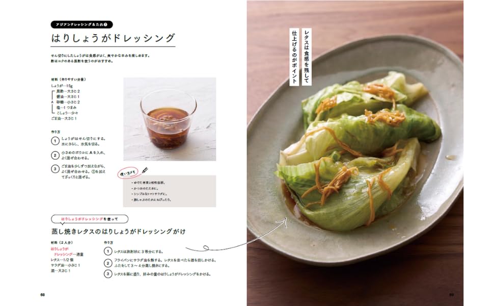 Takarashimasha NHK Marutoku Magazine Vegetables Meat Fish Delicious Homemade Dressings TJ MOOK