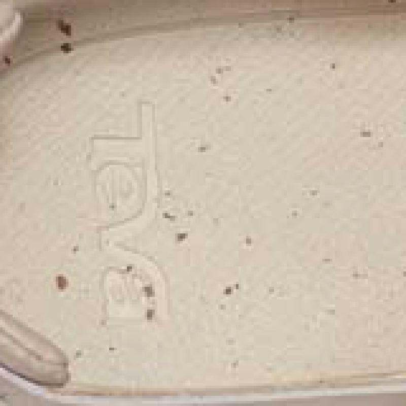 Teva Women Slingback Stvf2512570 Bir