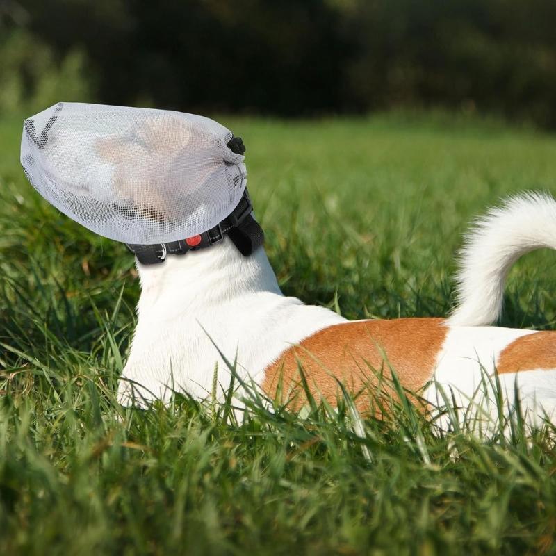 Máscara Protetora Ajustável à Prova de Mosquitos Para Cães Escudo Contra Espinhos e Galhos na Natureza