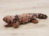 Take Off Keychain Salamander