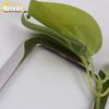 14 Corolla Rear Reading Light Decorative Frame