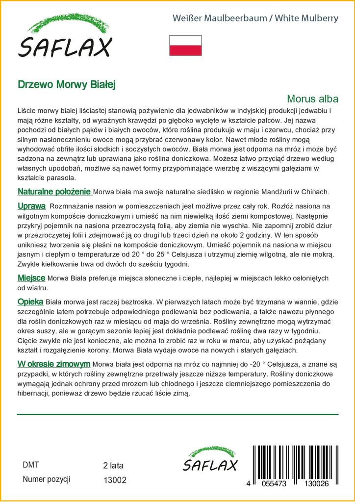 SAFLAX Moruše bílá - 200 semen - Se substrátem pro lepší pěstování - Morus alba