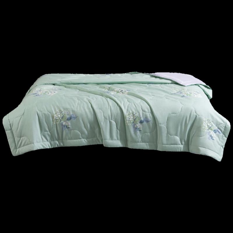 Mercury Home Textiles Floral Scent Summer Quilt