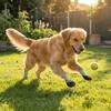 4PCS Adjustable Non-slip Dog Shoes Breathable Dog Foot Covers Pet Paw Protector  Indoor Use