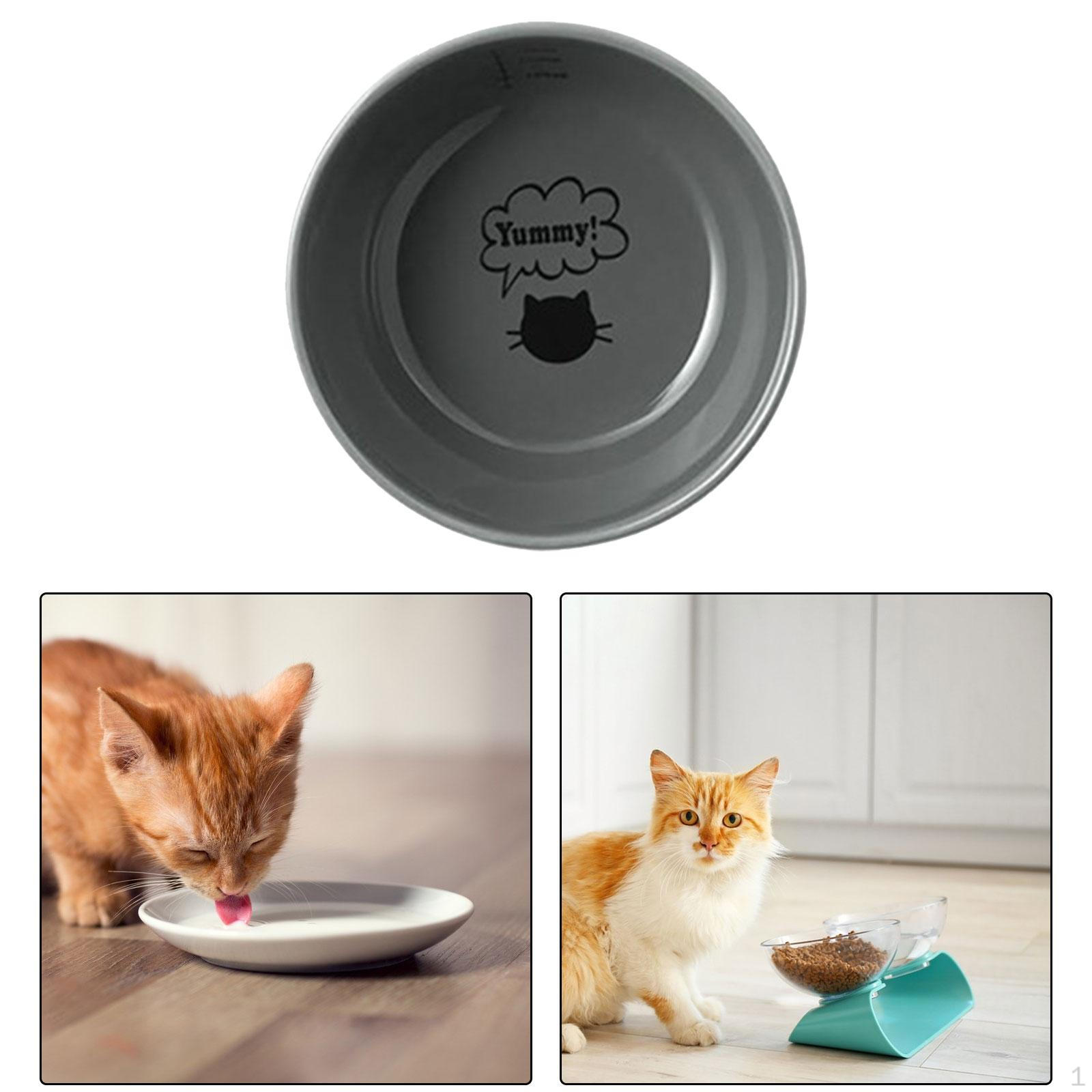 

Cat Lifts, Support, Durable Neck Protector, Lightweight Cats Gray Flat