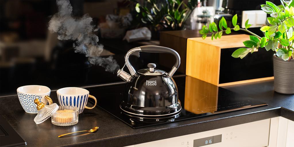 Teesa Stainless Steel Kettle with Whistling 3L Gas Induction
