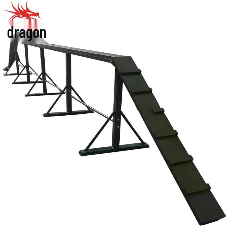 Dragon Bridge Physical Training Obstacle