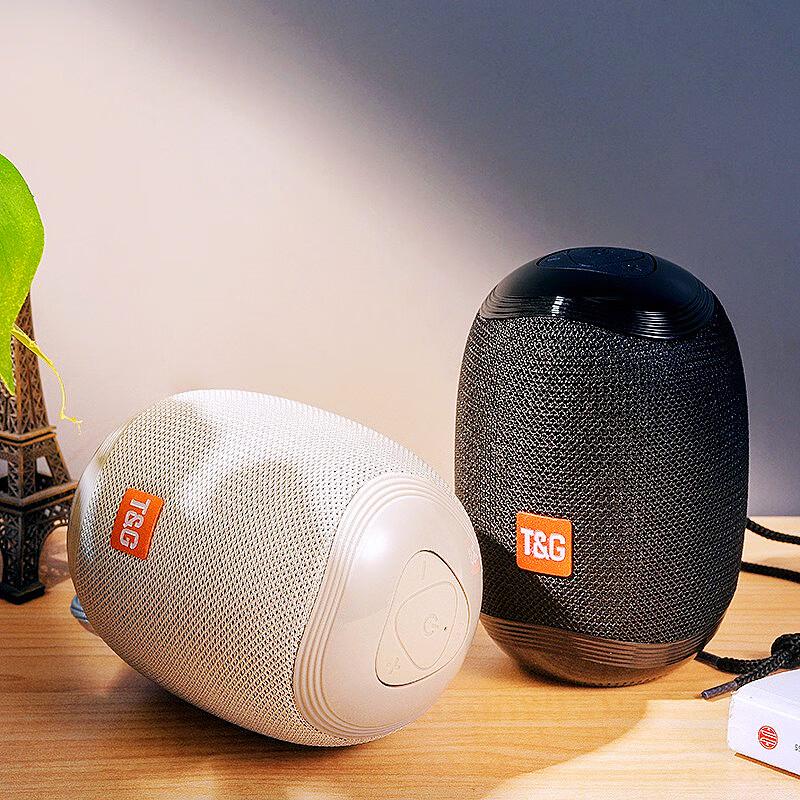 T&G TG529 Portable Bluetooth Speaker