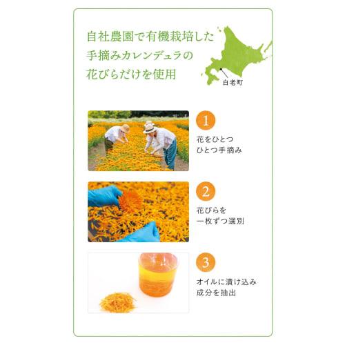 Natural Island Handmade UV Mint Citrus (SPF22 PA++) 45g Hand Cream with Japanese Mint and Citrus Scent, Calendula