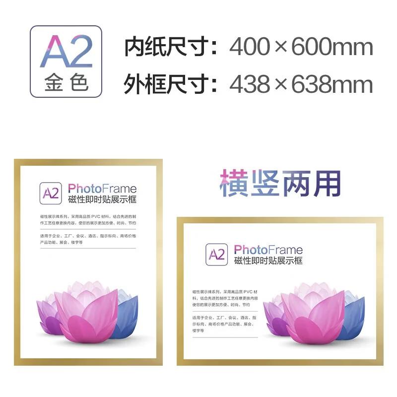 Magnetic Display Frame