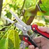 Pruning Shear Branch Scissors Sharp Pruner Trimmer Fruit Tree Garden Plant Flowers Trimming Gardening Household Bonsai Tools