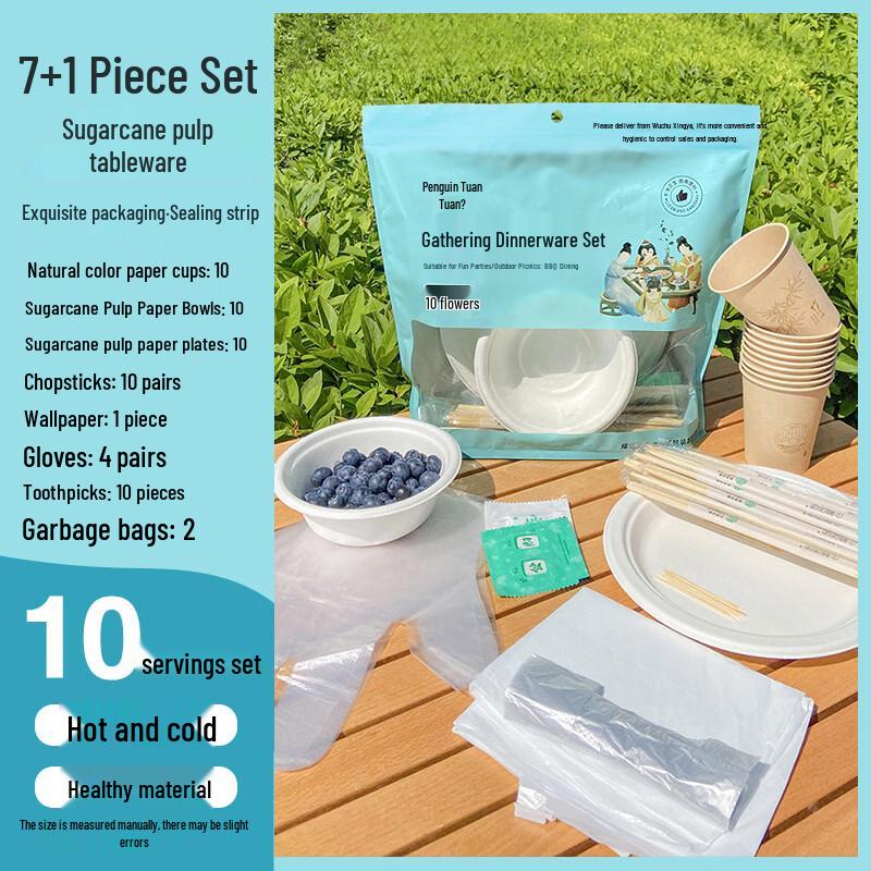 Sugarcane Pulp Disposable Guest Set