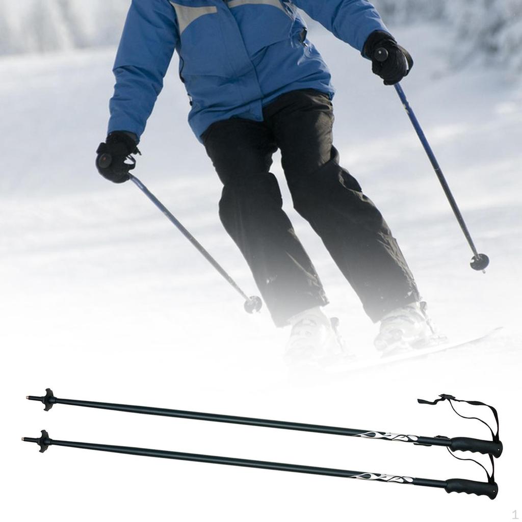 2 Pieces Ski Poles for Men Women Comfortable Gripping Portable Hiking Walking Sticks