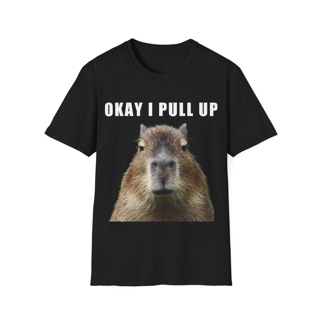 Capybara Ok I Pull Up | Capybara Funny Meme Animal Lover Gift for Veterinarian Capybara GifT-Shirt | Unisex Tee
