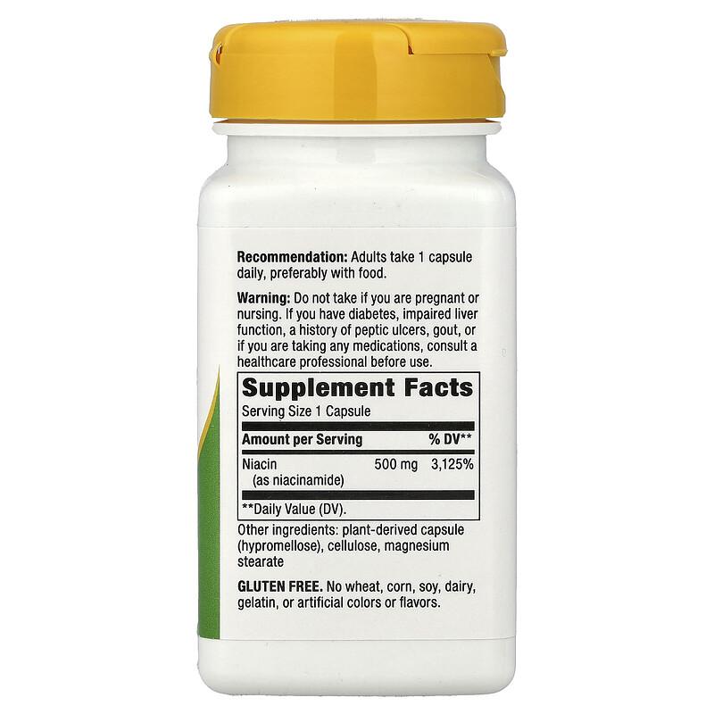 Niacinamide, Non-Flushing, 500 mg, 100 Capsules