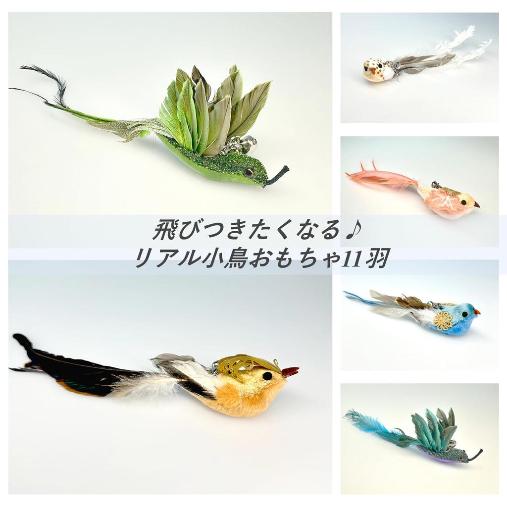 11 Types of Realistic Bird Cat Toys, Cat Teasers, Cat Toys, Interchangeable Heads, Pet Ornaments with Detachable Hooks, Handmade Feathers, Interior